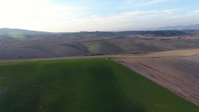 aerial shot, gorgeous tuscany hills landscape, flying above the plowed fields in the sunset light with the sun flare, filmed with drone

