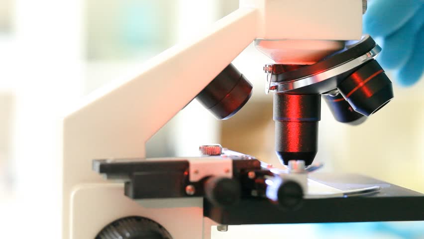 Scientist adjusts the lens of the microscope