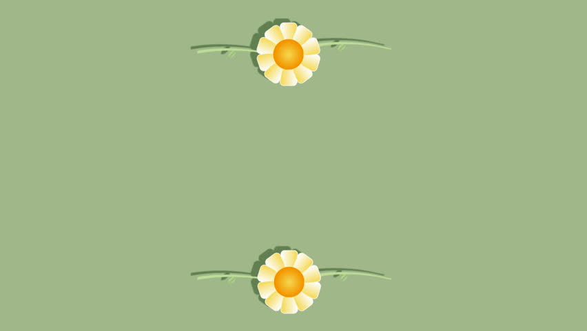 Floral border background animated illustration HD