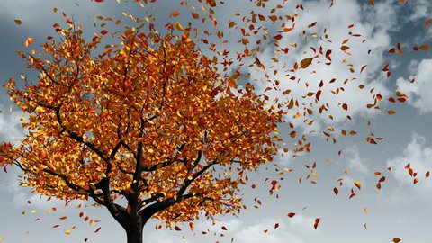 Concept Of Changing Of The Seasons From Spring To Autumn. Leaves Appear On The Tree, They Turn Yellow And Then Fall Off. 3D Animation. 4K. 3840x2160.