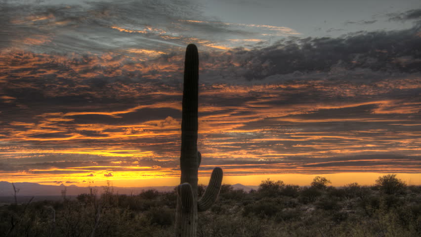HDR Timelapse Arizona Cactus at sunset while dark and red clouds passing by
