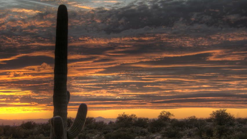 HDR Timelapse Arizona Cactus at sunset while dark and red clouds passing by