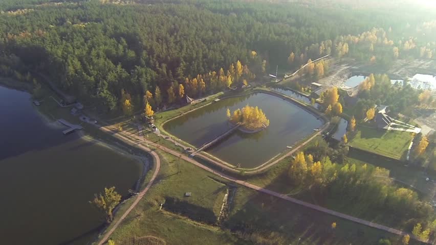 Aerial view of an autumn lake in forest with a bird