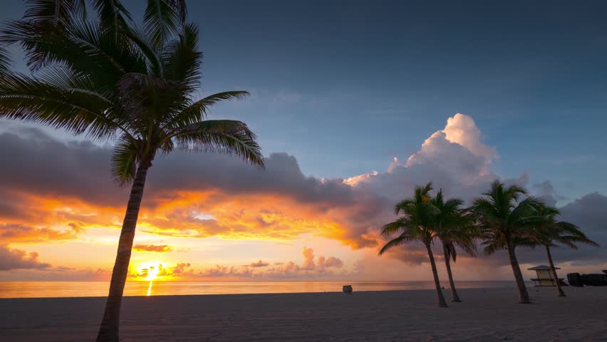 Beautiful sunrise with palm trees and beach in foreground in Hollywood, Miami, Florida. 4K UHD Timelapse. Royalty-Free Stock Footage #19942171