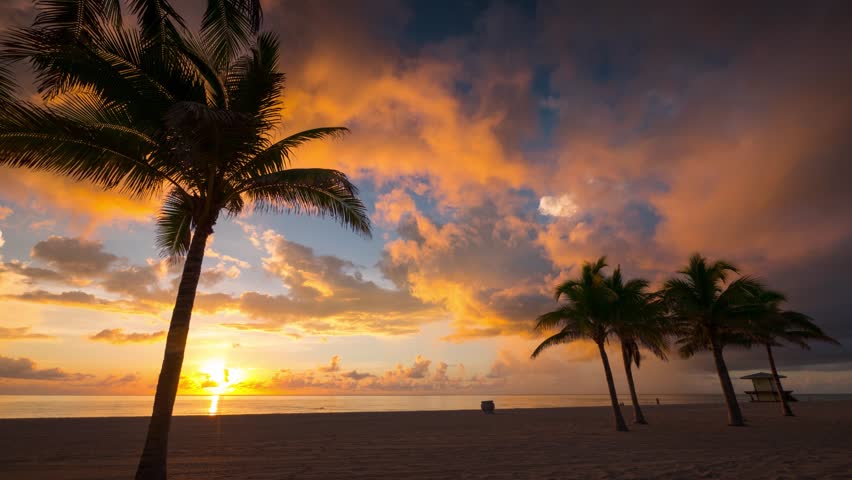 Beautiful sunrise with palm trees and beach in foreground in Hollywood, Miami, Florida. 4K UHD Timelapse.