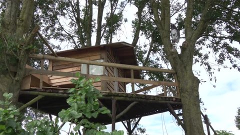 Dolly shot of beautiful tree house also known as tree fort showing building constructed between trunks and branches of several mature trees above ground level tree houses nice playground for children
