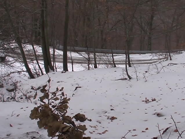 Winter landscape
