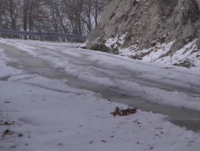 a car in the winter landscape