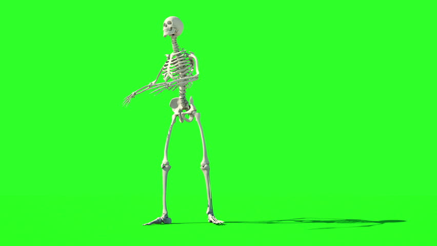 Funny green screen videos new arrivals