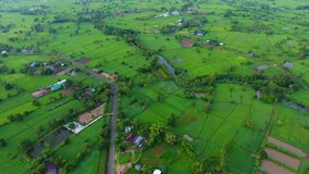 Aerial fly over of rice fields in Thailand