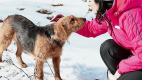A young woman in the snow caresses a beautiful dog in slow motion, A Woman is Gently Stroking the Dog in a Snowy Day in Slow Motion, Slow Motion Video Clip