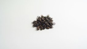 Coffee beans motion stop animation. Full 2k video footage