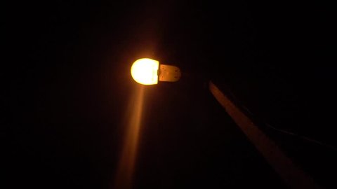 Night Street Lamp With flying insects around