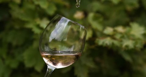 Pink Wine being poured into Glass, Slow motion 4K