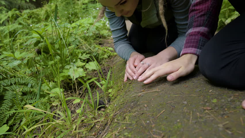 Curious Women Hikers Watch A Mole Beside A Hiking Trail