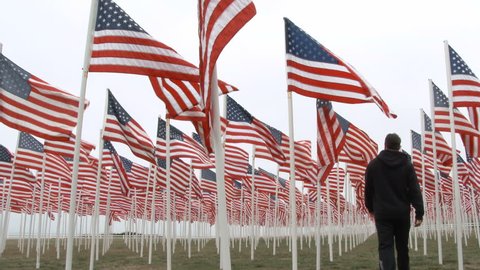 Man walks down path of many United States flags waving in the wind for fallen soldiers memorial.