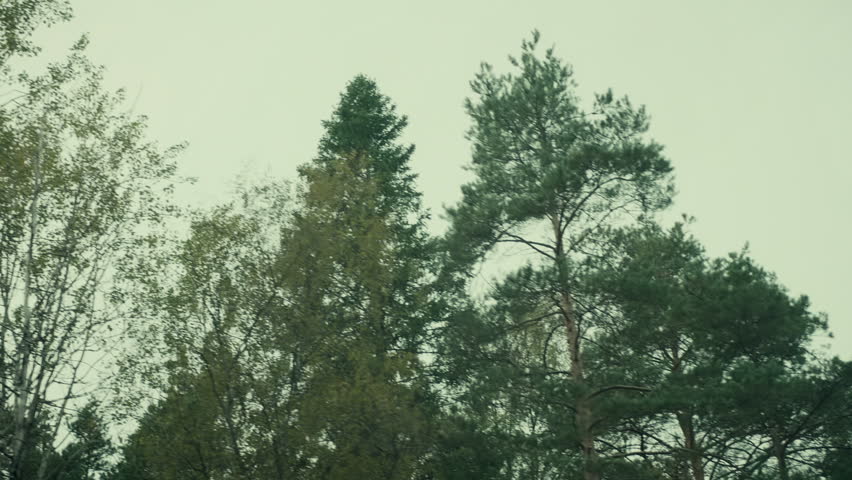 A small fjord shooting from a little boat