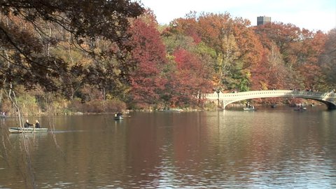 Central Park Lake and Bow Bridge