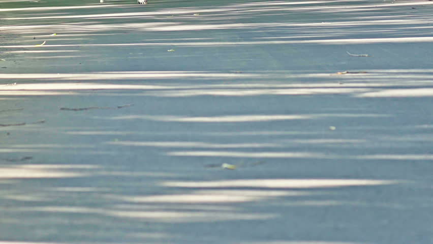 Person roller skating towards the camera