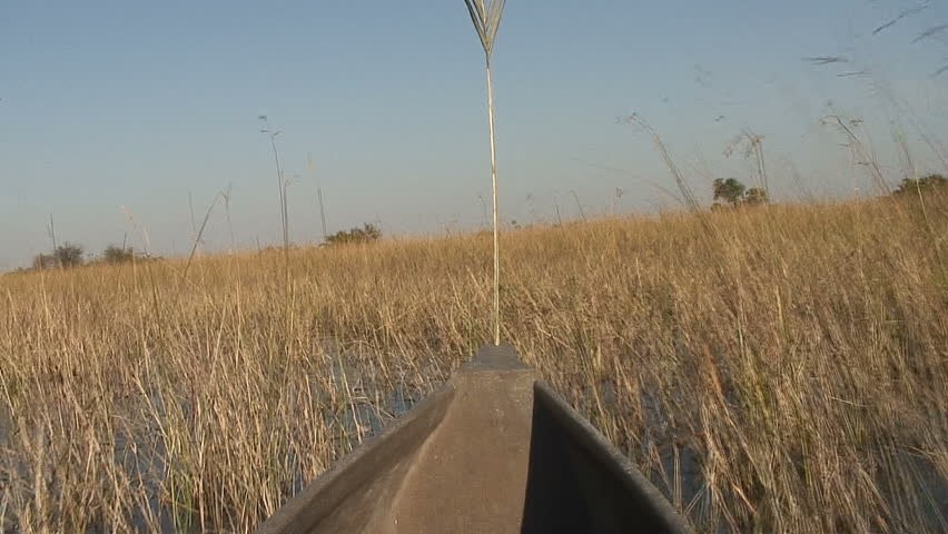 A Mokoro moves through the shallow waters of the Okavango Delta in Botswana,