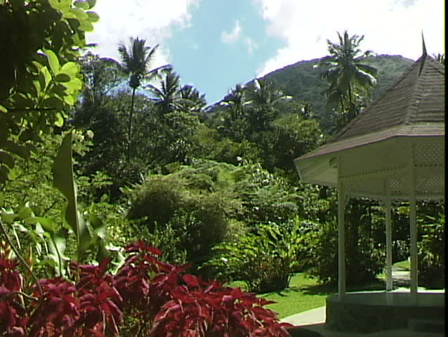 Botanical garden
