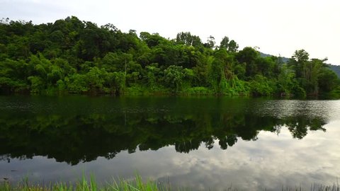 Wide view of beautiful green forest reflected in the still waters of a placid lake