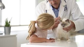 Kid watching her cat while at the veterinary