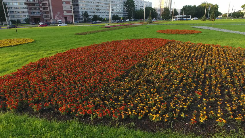 Beautiful flower bed on the earth with colorful flowers. The Leninsky avenue is in St. Peterburg, Russia 