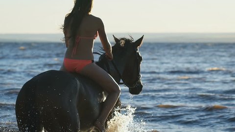 A sexy young beautiful sexy blonde woman in bikini in the sea riding a brown horse. Enjoying the views. Having rest. Feeling harmony inside. View from the back. Trotting