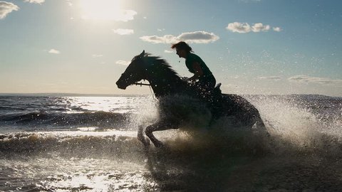 Beautiful young women horse riding at a beach. Enjoying beautiful landscape. Galloping at a marvelous lake