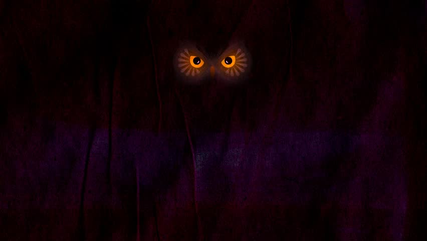 Owl Eyes Glow in the Stock Footage Video (100% Royalty-free) 20122705