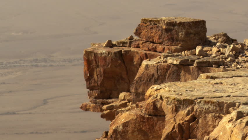 A bird hopping on a cliff edge shot in Israel.