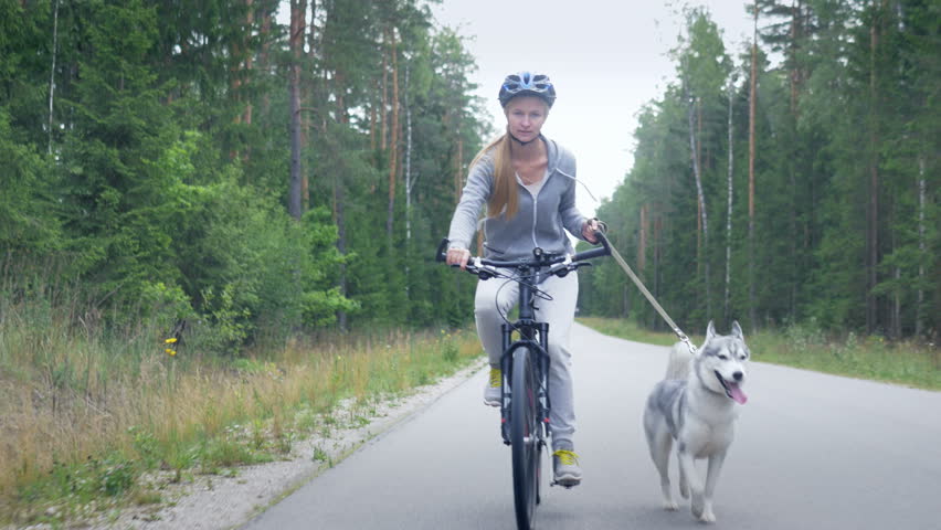 Young blond girl cycling with her dog on the road. Female cyclist training her Siberian Husky to run next to her in nature.