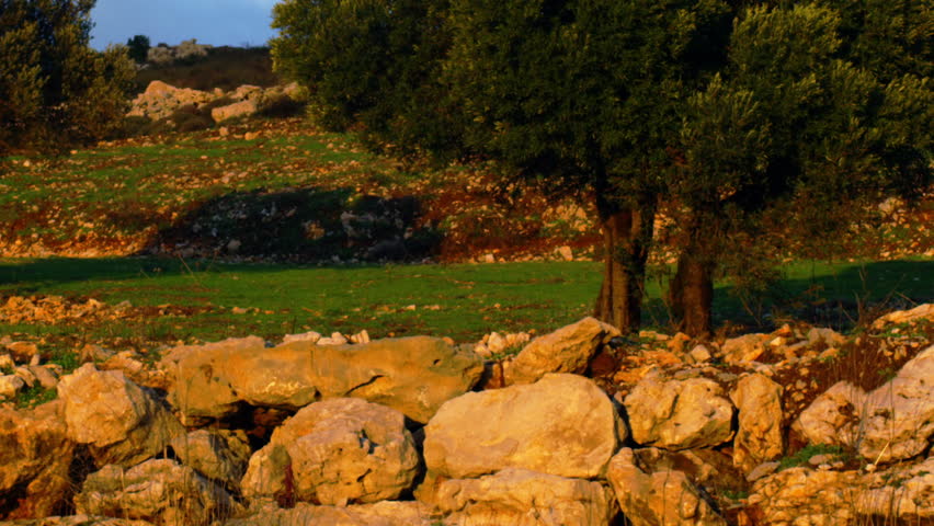 A pastoral hillside shot in Israel.