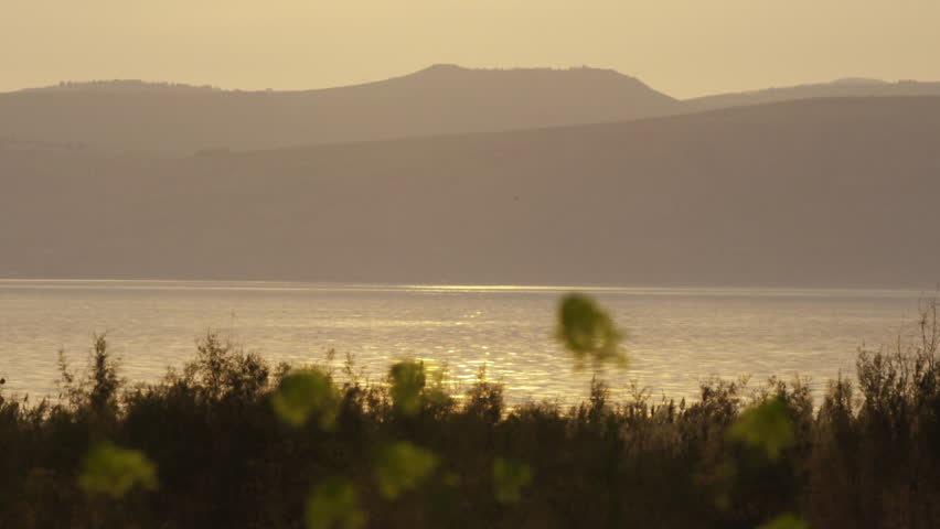 Yellow flowers and the Sea of Galilee at dusk shot in Israel.