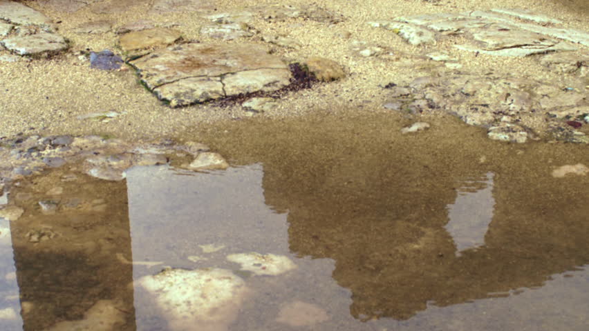 A rain puddle in the Bar'am ruins shot in Israel.