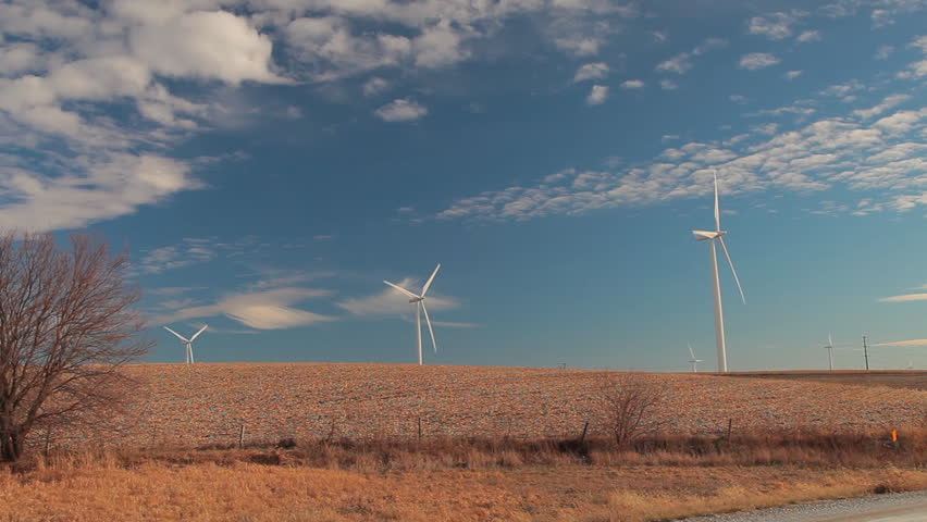 Distant Windmills in Field, Iowa