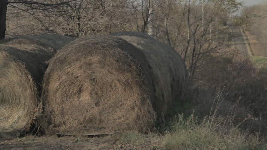 Haybales resting in the shade