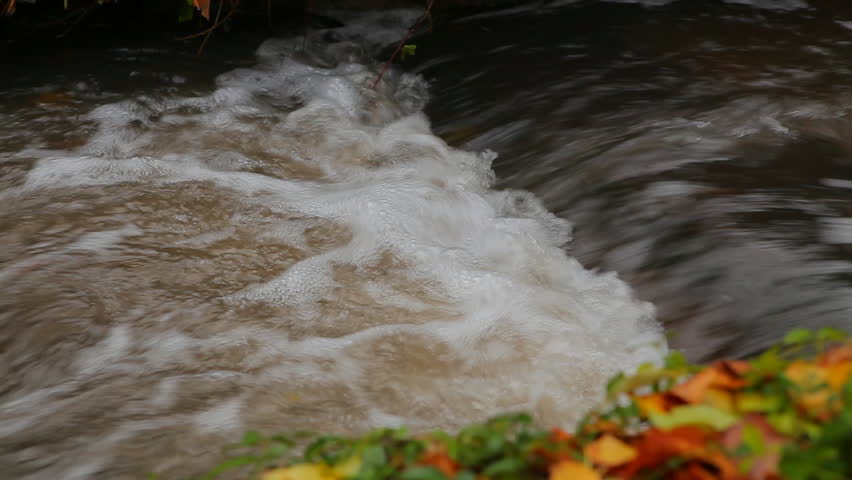 Rapids in a Small Creek