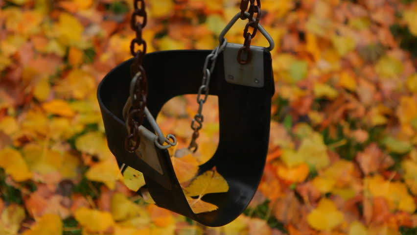 Child's Black Swing Above Autumn Leaves