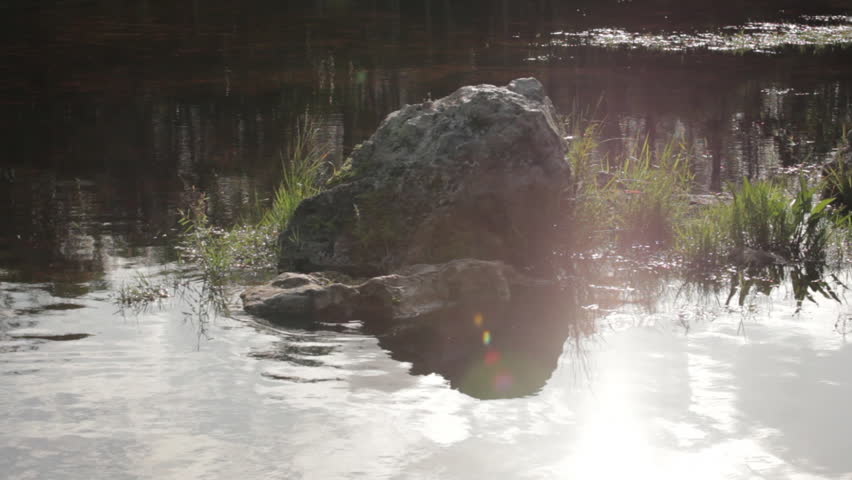 Boulders in a river.
