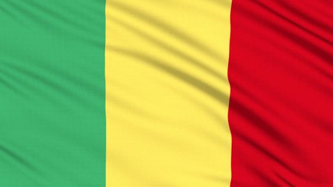 Mali flag, with real structure of a fabric