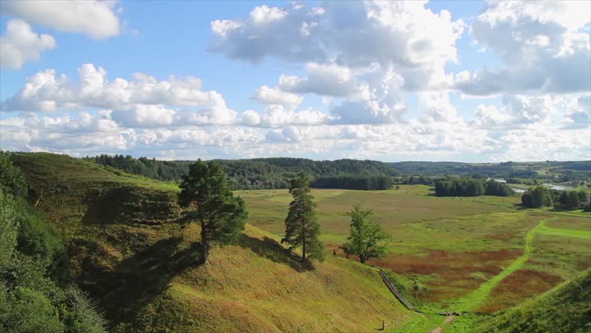 summer landscape, top view