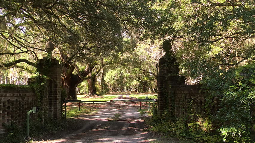 Ivy covered brick fencing invites you down the dirt drive lined with old oak trees covered in Spanish moss to the Seabrook Plantation on Edisto Island, SC