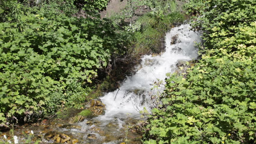 Water Flowing Down a Stream in Zions