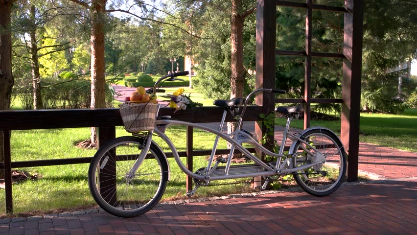 tandem bike with basket