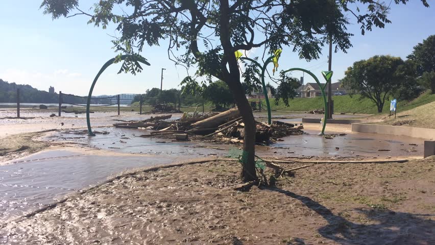 Beckley, West Virginia Circa 2016: Lone Tree Standing in Sea of Mud from Flood