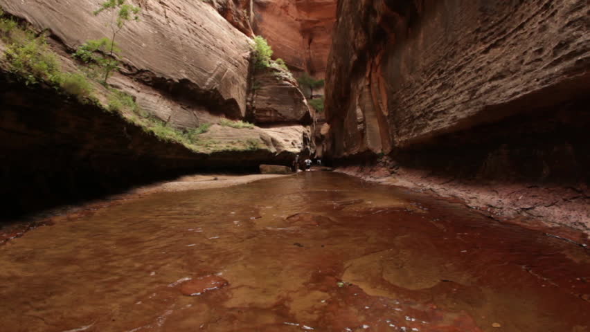 Hikers running and splashing in the Zion National Park
