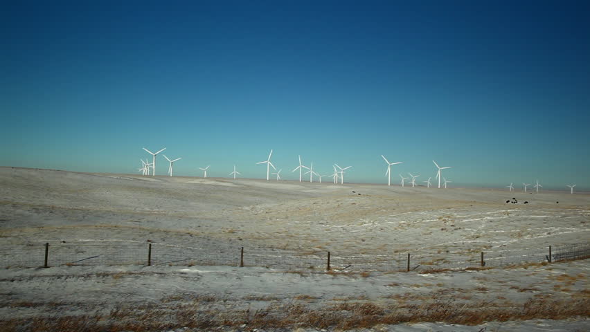 Windmills and Fence