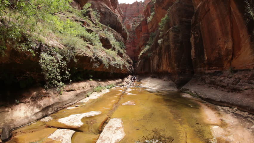 A wet path between cliffs in the Zion National Park